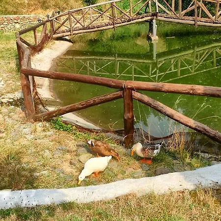 Εξοχικό σπίτι Villa Mark *