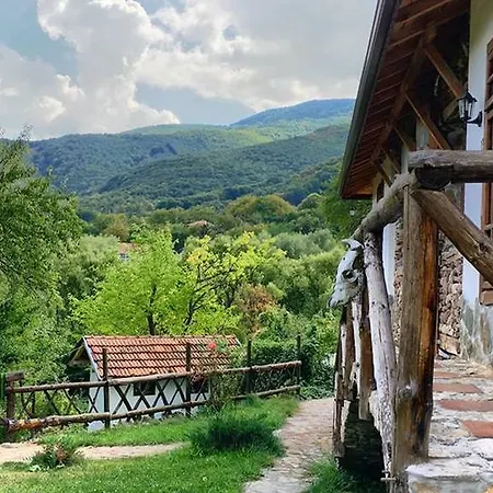 Εξοχικό σπίτι Villa Mark *